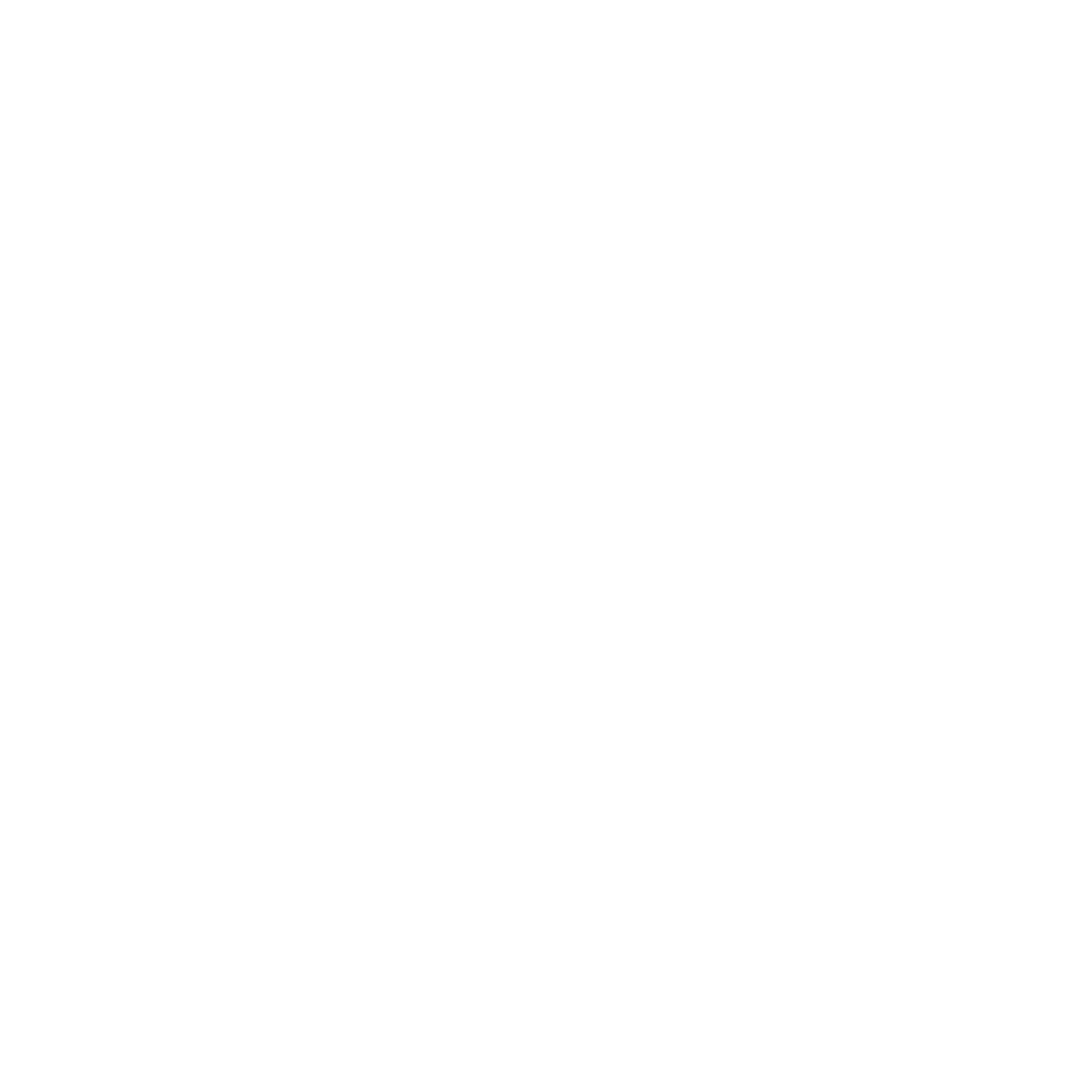 Um ícone do Instagram da cor branca.
